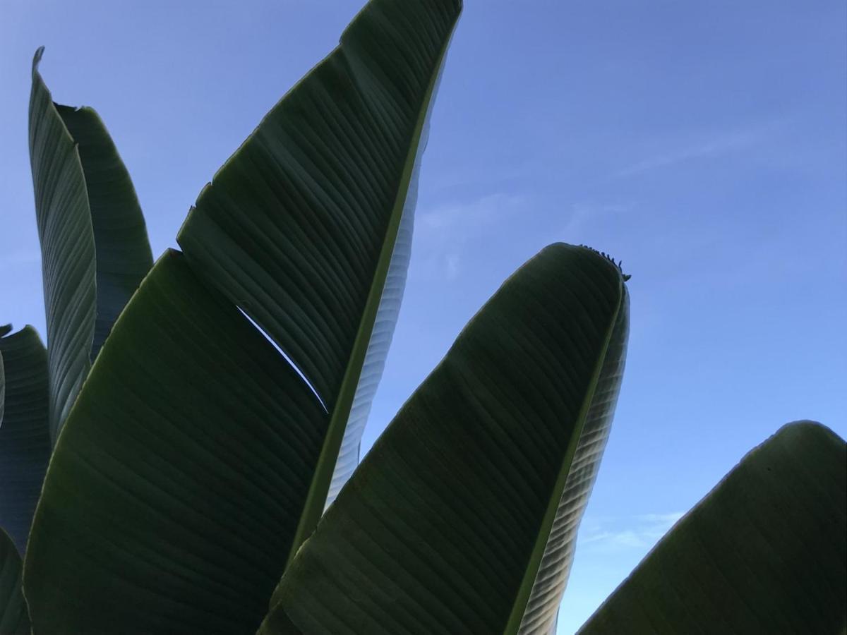 Encanto Das Flores Praia de Pipa エクステリア 写真